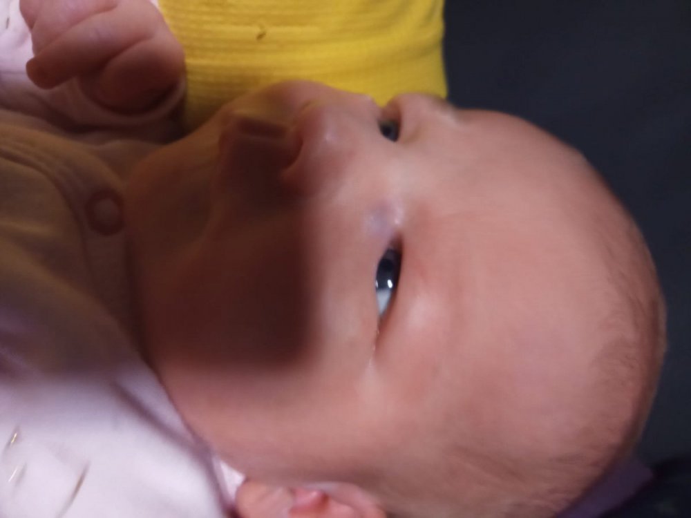 WhatsApp Image 2020-08-04 at 21.54.56.jpeg