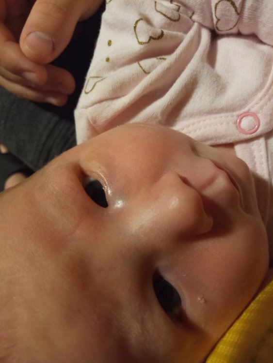 WhatsApp Image 2020-08-04 at 21.54.56 (1).jpeg