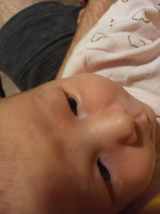 WhatsApp Image 2020-08-04 at 21.54.57 (1).jpeg